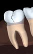 charlotte dentist