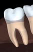 charlotte dentist