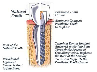 charlotte dentist